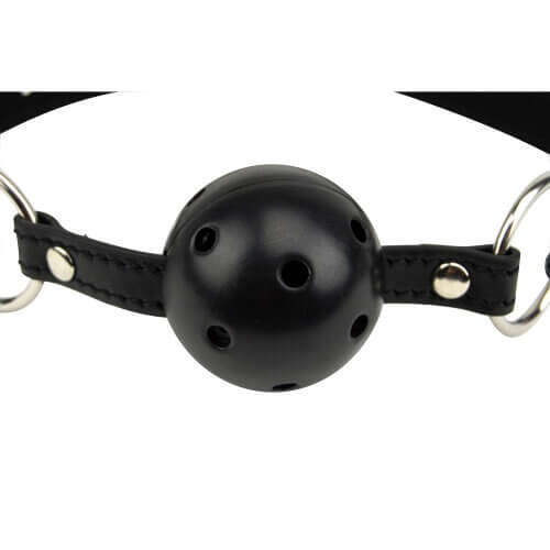 Breathable Ball Gag Bound to Please