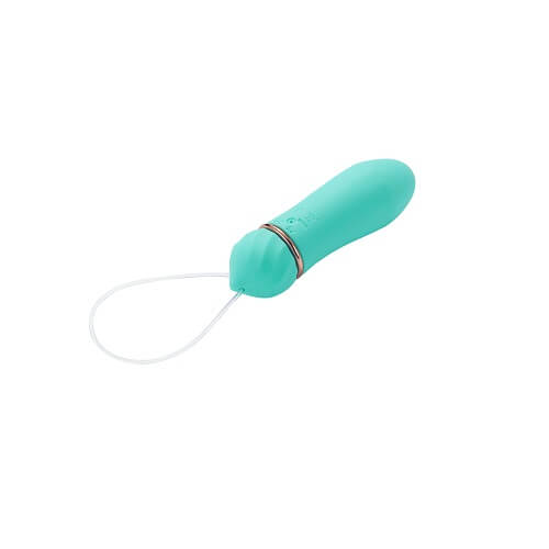 Mina Remote Controlled Vibrator